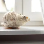 شقة Large Two Bedroom Family App - Free Parking