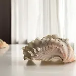 شقة Large Two Bedroom Family App - Free Parking *