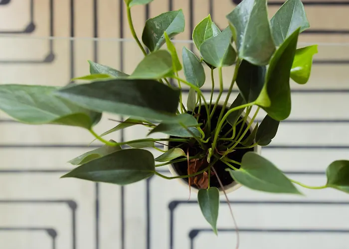 Large Two Bedroom Family App - Free Parking לובליאנה